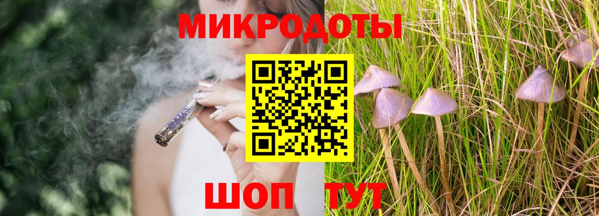 Псилоцибиновые грибы Cubensis Шахты