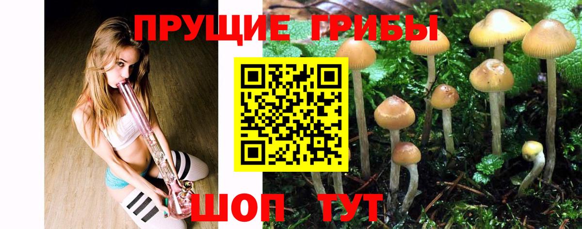 Шахты  Галлюциногенные грибы Psilocybine cubensis  Вход с VPN 